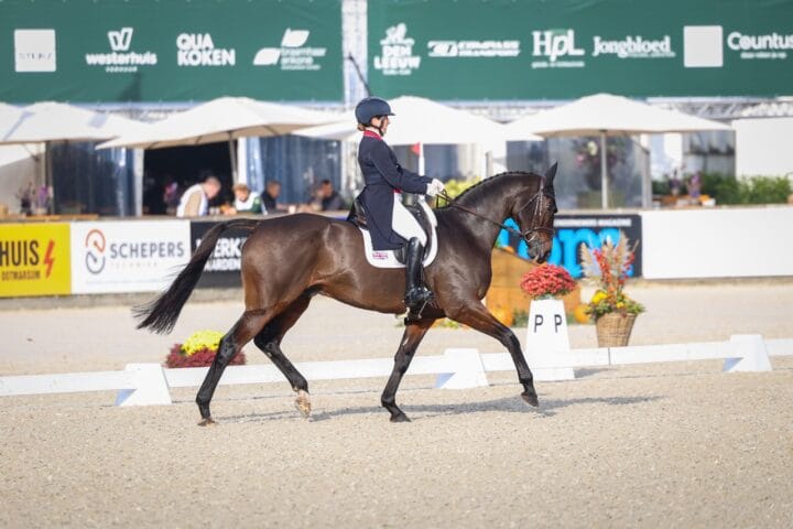 Laura Collett - Count Onyx Large