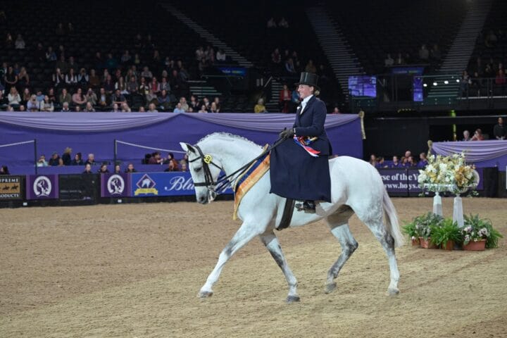 Olivia Minihane winning the Ladies sidesaddle class at HOYS 2025