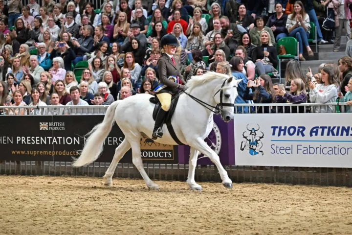 Harlow White and Panda - 1st Class Images