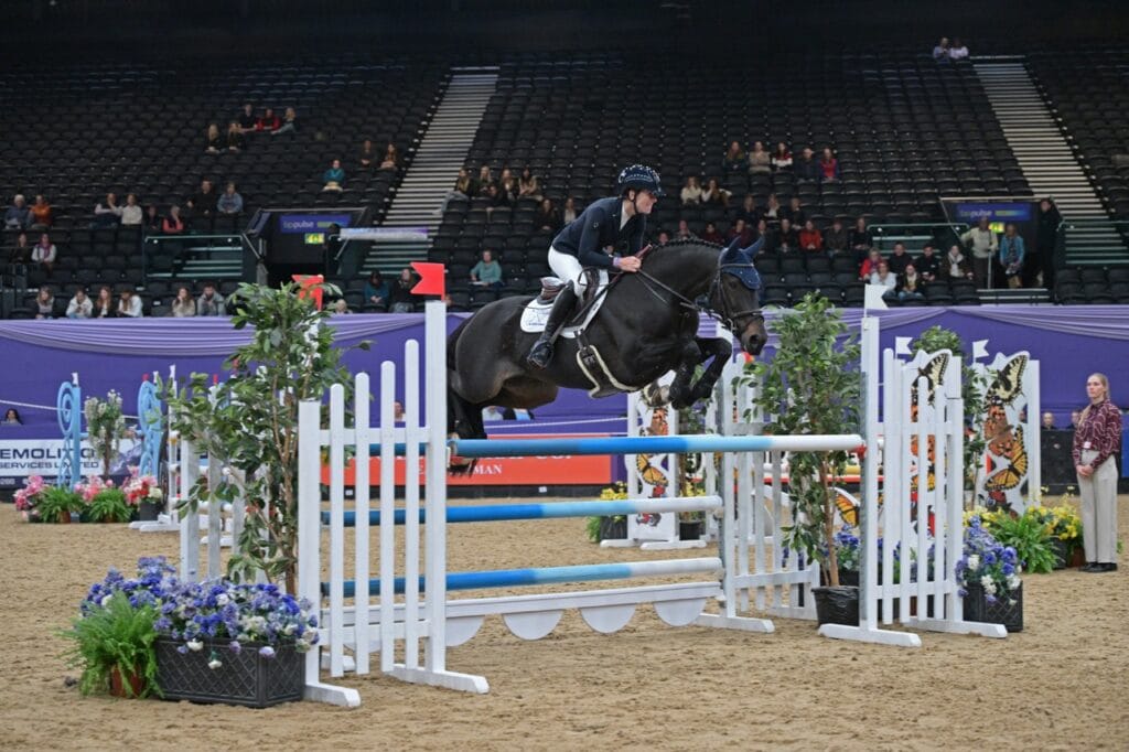 HOYS Silver League Winner