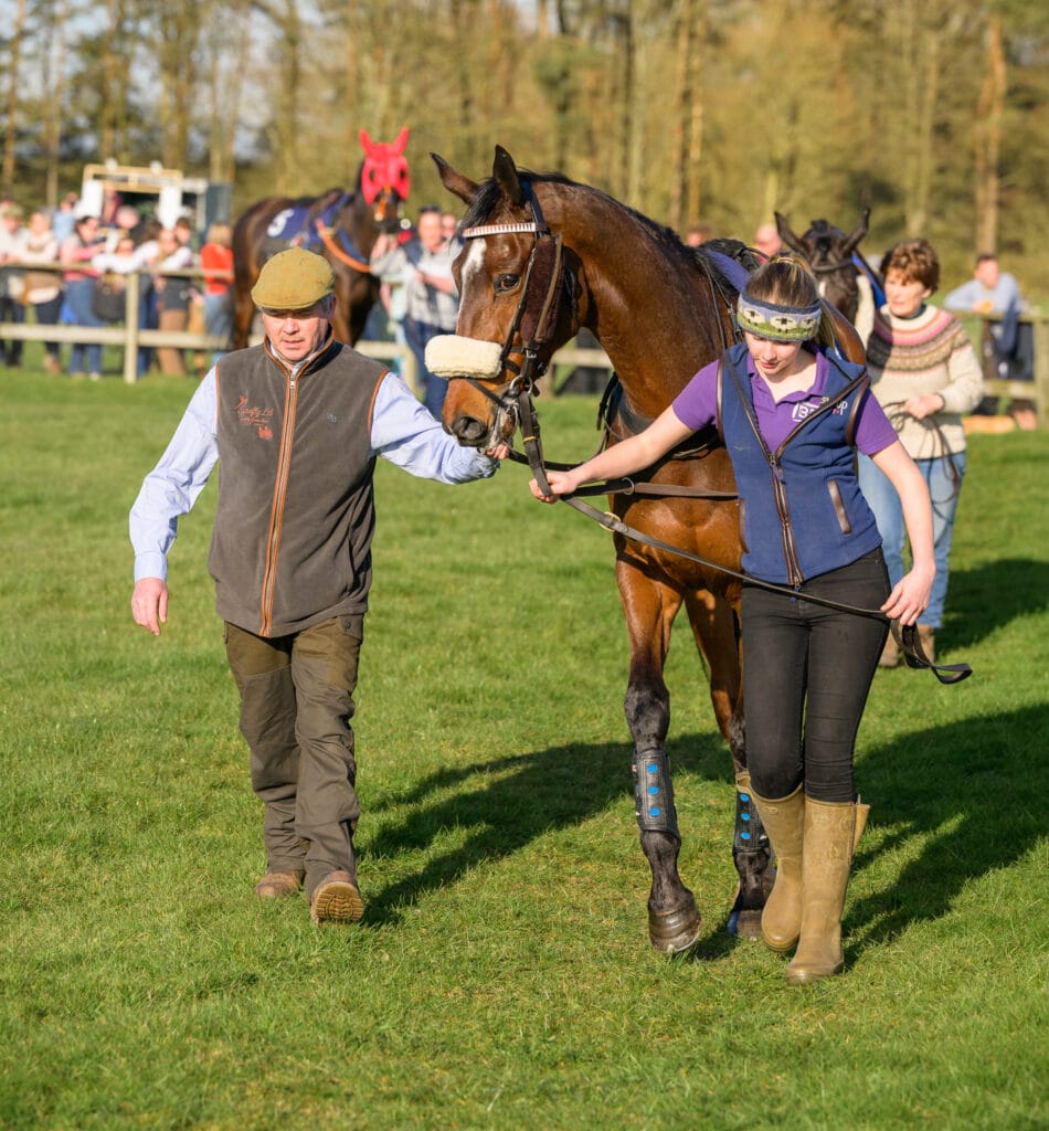 Handlers leading up a racehorse in the paddock