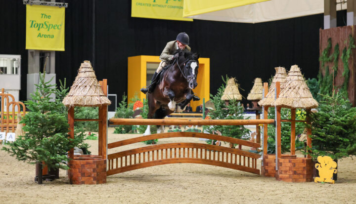 Ross Keys and Dycott Welsh King - HOYS 2026