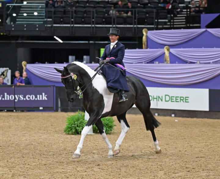 Jayne Ross and KBF Lucia win the Ladies Side Saddle - Nico Morgan/1st Class Images